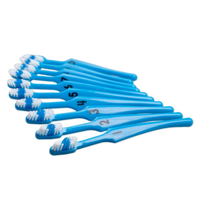 Number Toothbrushes (10 pack)