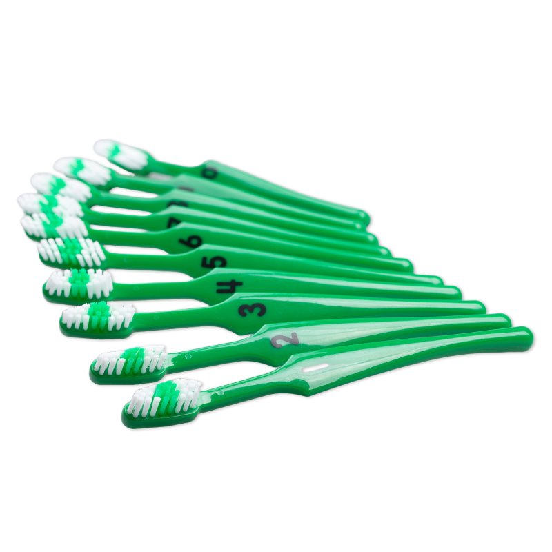 Number Toothbrushes (10 pack) β The Brush Bus Ltd