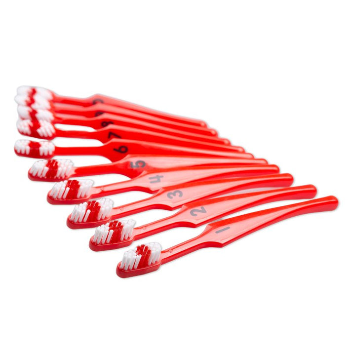 Number Toothbrushes (10 pack) – The Brush Bus Ltd