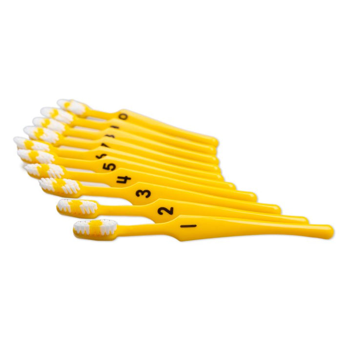 Number Toothbrushes (10 pack) – The Brush Bus Ltd